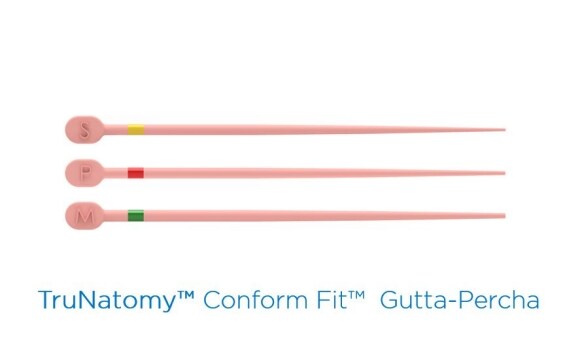 TruNatomy Conform Fit Guttaperka Sortiment 60st