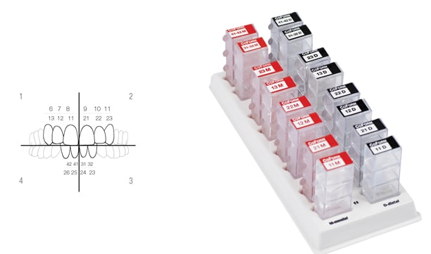 CoForm 11D 8st