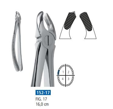 Extraktionstång 17 ÖK molar höger