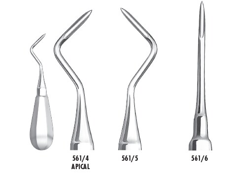 Rothävel spetsig Apical rak