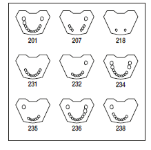 Frasaco Modell Gingiva UK 231