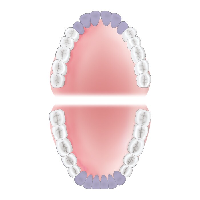 Scaler Quik-Tip 311 XP
