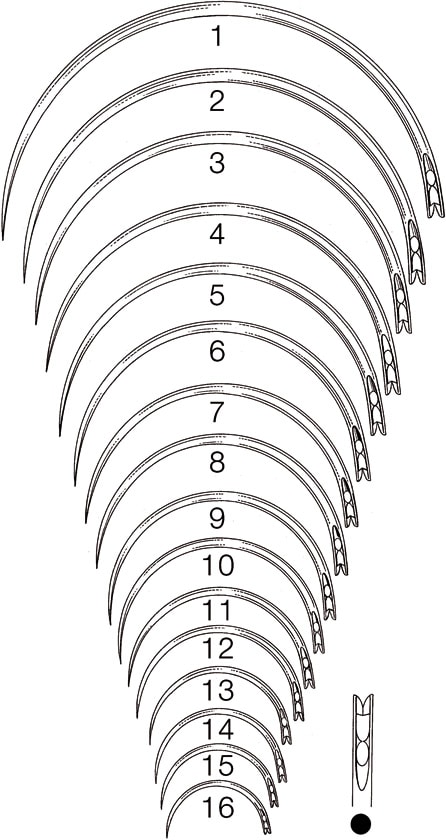 Kirurgi nål 1/2 Fig.16 12st